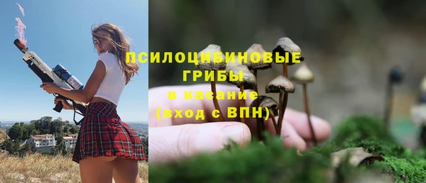 Альфа ПВП Арсеньев